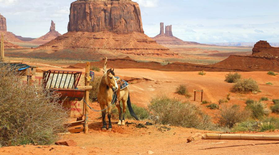Nossos serviços de aluguel de carros oferecem uma seleção diversificada de veículos em Oljato-Monument Valley.